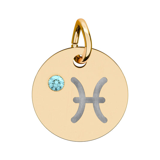 Pisces Aquamarine Birthstone Zodiac Charm Necklace Pendant Astrology Jewelry