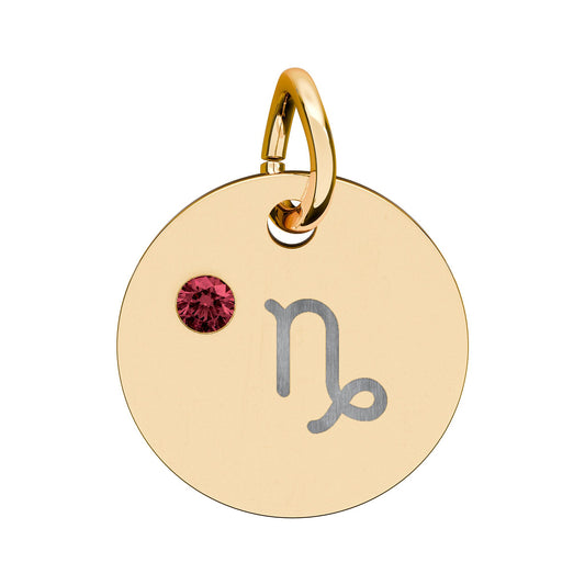 Capricorn Garnet Birthstone Zodiac Charm Necklace Pendant