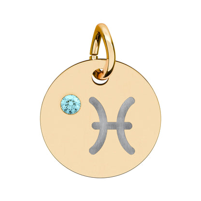 Pisces Aquamarine Birthstone Zodiac Charm Necklace Pendant Astrology Jewelry