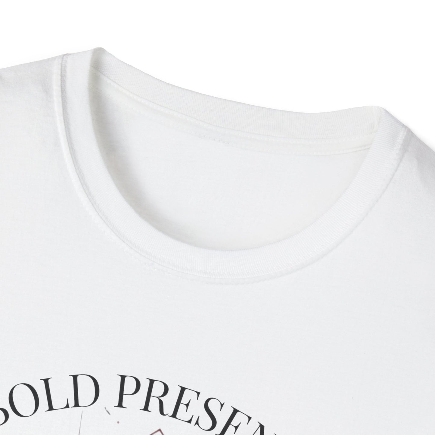 Lion Graphic T-Shirt — 'Bold Presence' Inspirational Tee