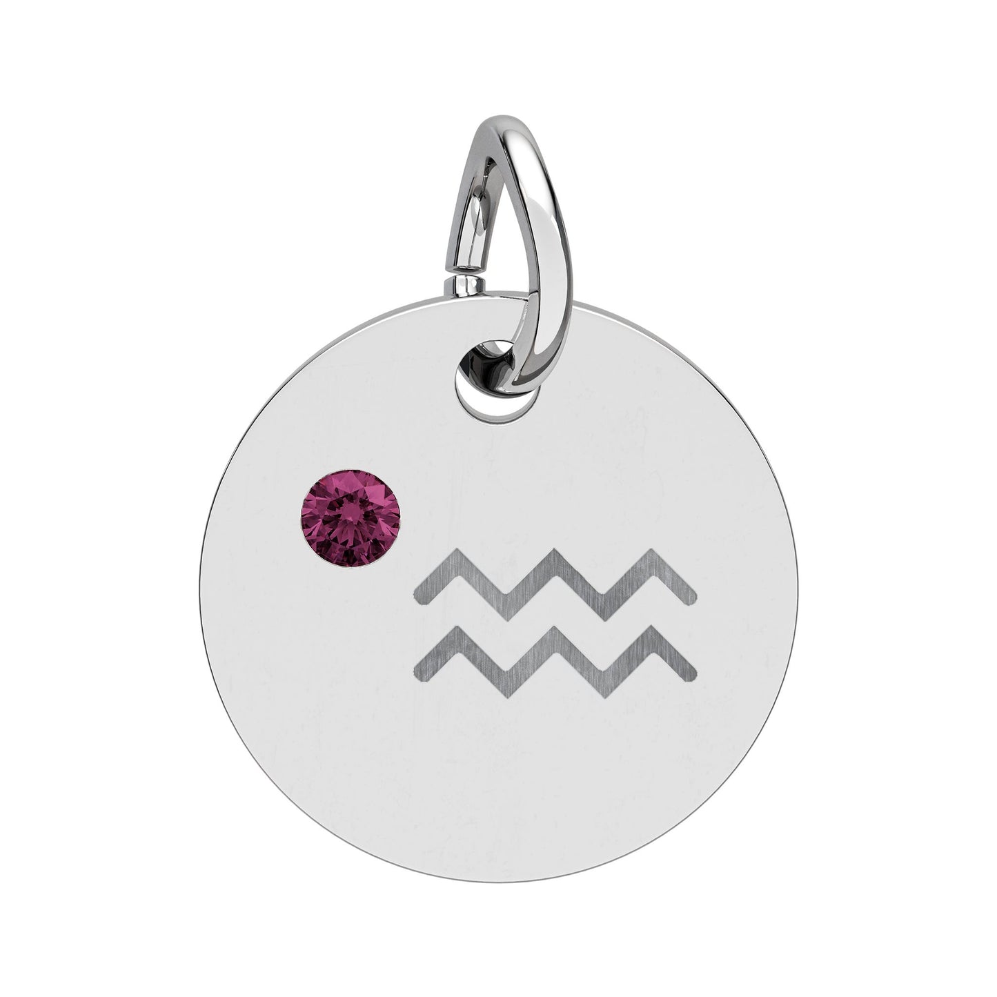 Aquarius Amethyst Birthstone Zodiac Charm Necklace Pendant Astrology Jewelry