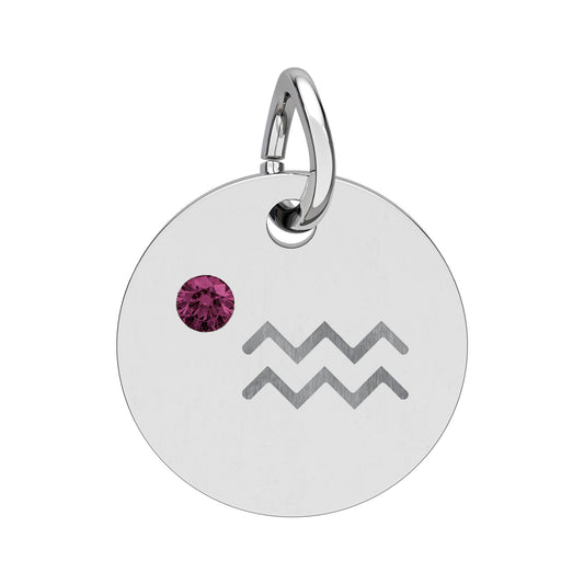 Aquarius Amethyst Birthstone Zodiac Charm Necklace Pendant Astrology Jewelry