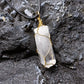 Clear quartz crystal point pendant wrapped in gold wire, raw natural hexagon-shaped quartz on black cord necklace, gold-wrapped bail and artistic wire design, displayed on textured rock background for healing and spiritual jewelry