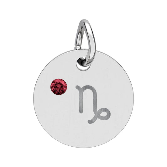 Capricorn Garnet Birthstone Zodiac Charm Necklace Pendant