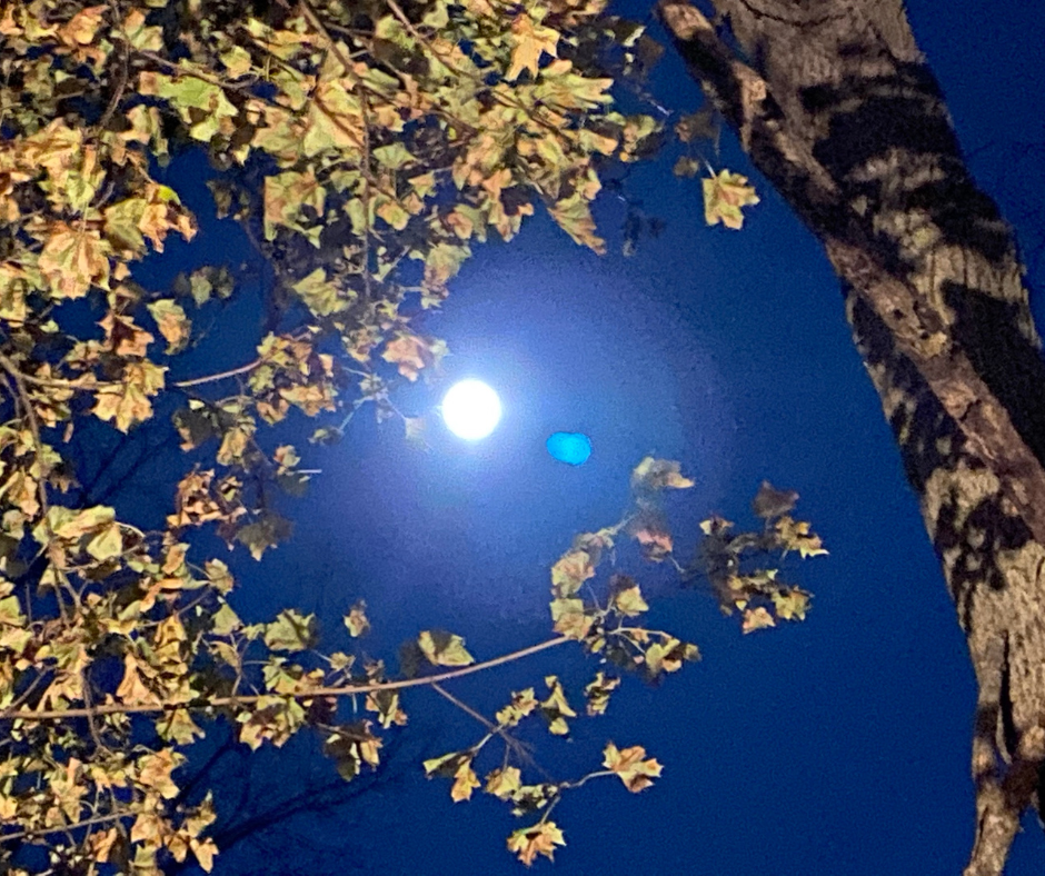 Moon Phase Reading - Lunar Insights