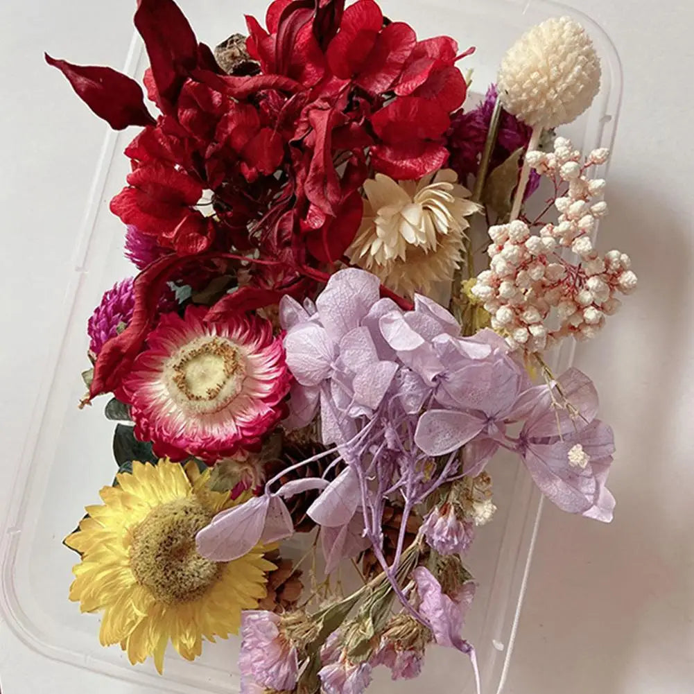 Natural Dried Flower Kit Pressed Artwork Handcrafts Leaves Herb DIY Dry Plants Scented Candle Making Craft For Home Decor