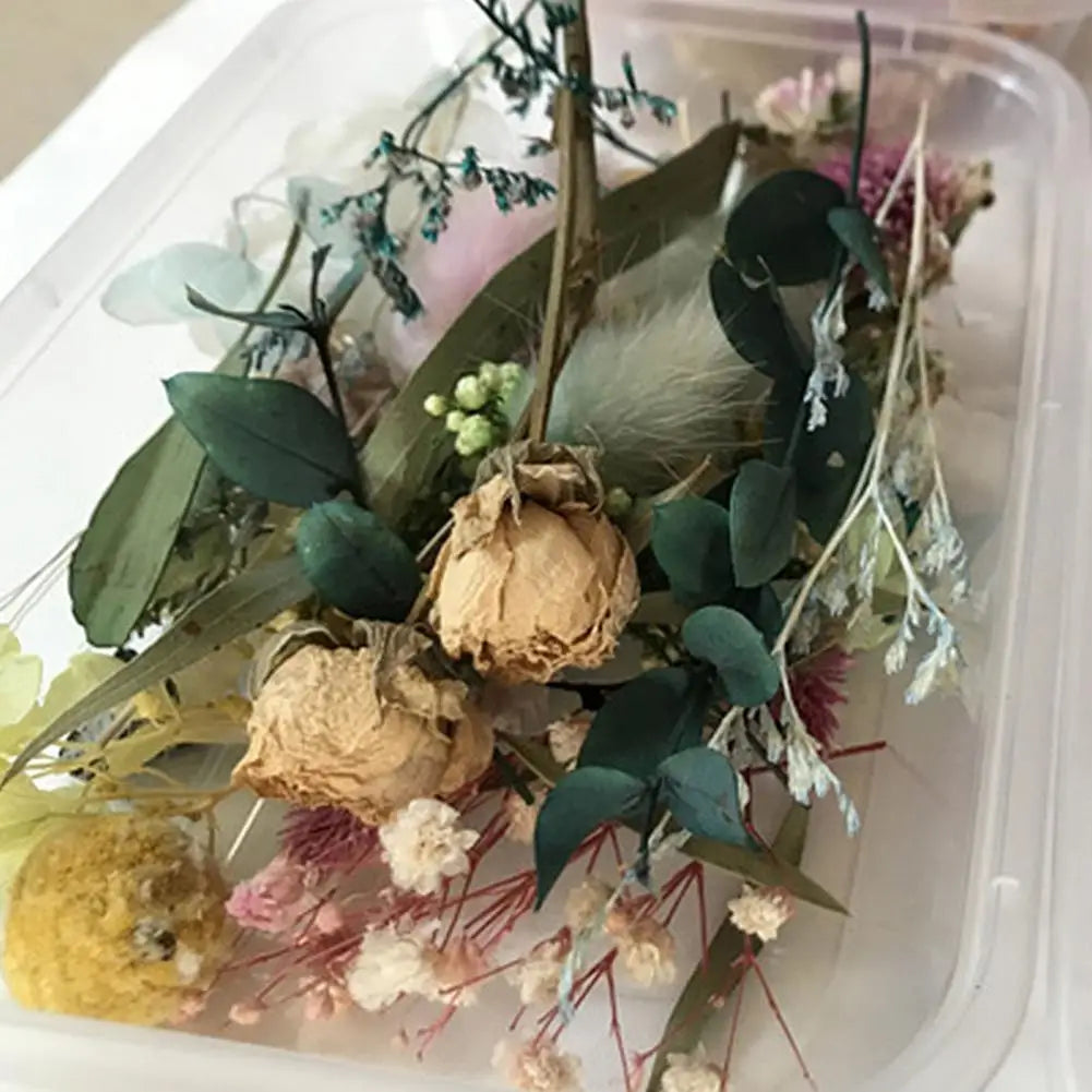 Natural Dried Flower Kit Pressed Artwork Handcrafts Leaves Herb DIY Dry Plants Scented Candle Making Craft For Home Decor Gifts