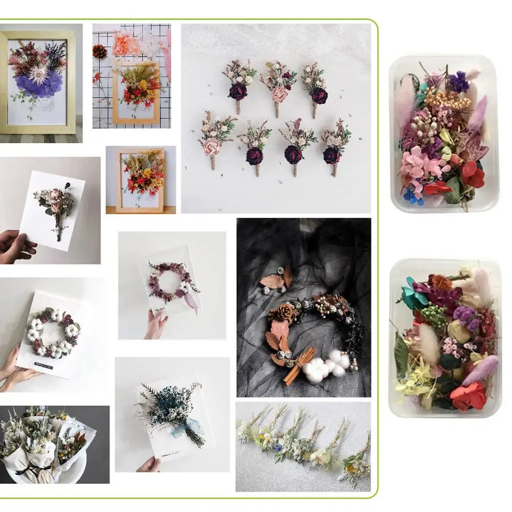 Natural Dried Flower Kit Pressed Artwork Handcrafts Leaves Herb DIY Dry Plants Scented Candle Making Craft For Home Decor