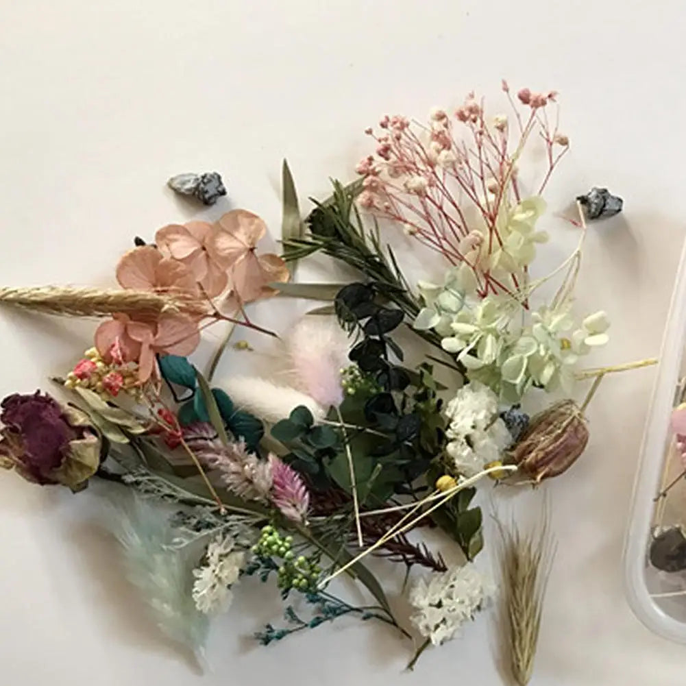 Natural Dried Flower Kit Pressed Artwork Handcrafts Leaves Herb DIY Dry Plants Scented Candle Making Craft For Home Decor