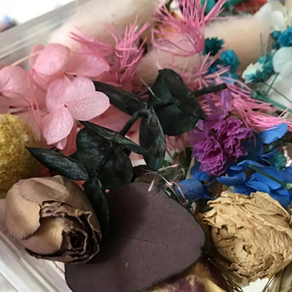 Natural Dried Flower Kit Pressed Artwork Handcrafts Leaves Herb DIY Dry Plants Scented Candle Making Craft For Home Decor Gifts
