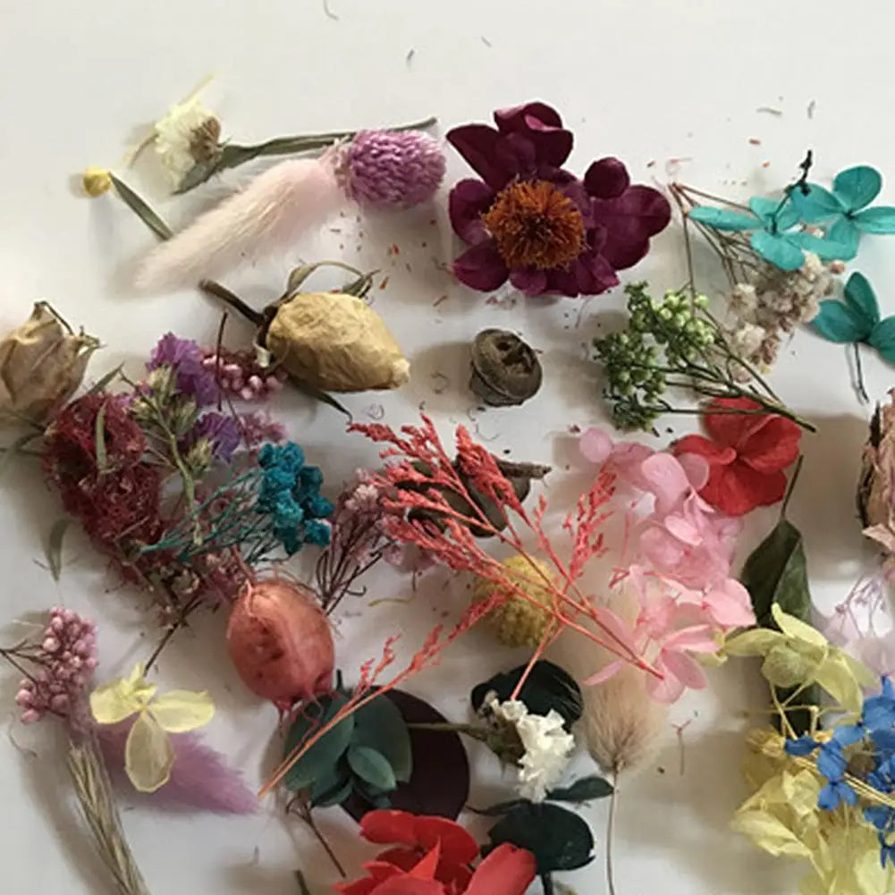 Natural Dried Flower Kit Pressed Artwork Handcrafts Leaves Herb DIY Dry Plants Scented Candle Making Craft For Home Decor
